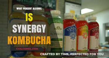 Synergy Kombucha Alcohol Content: Unveiling the Percentage in Your Brew