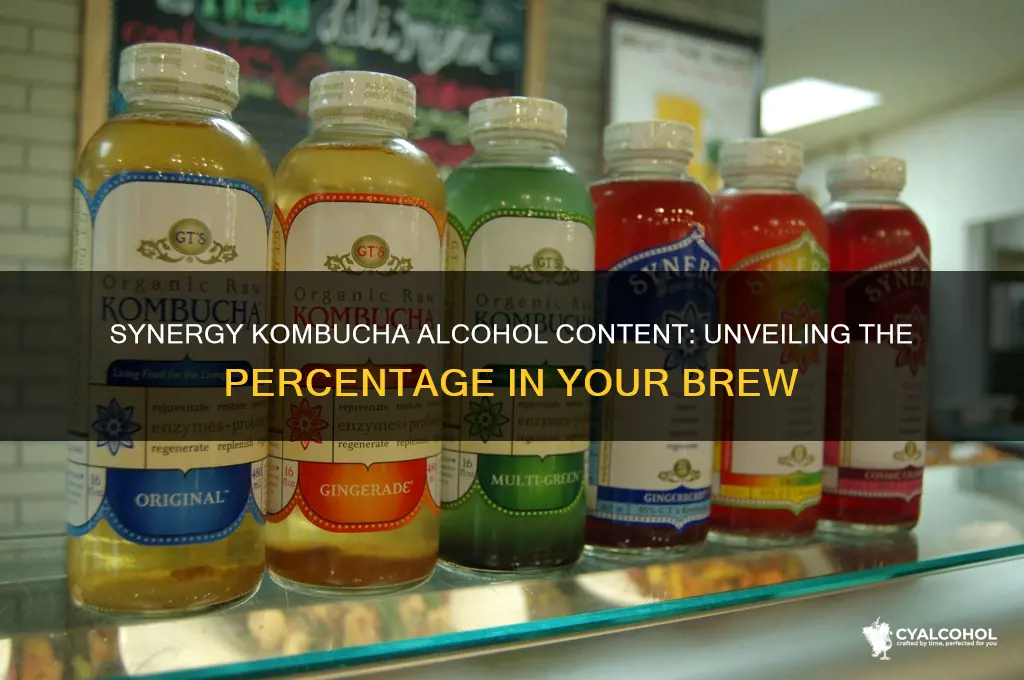 what percent alcohol is synergy kombucha