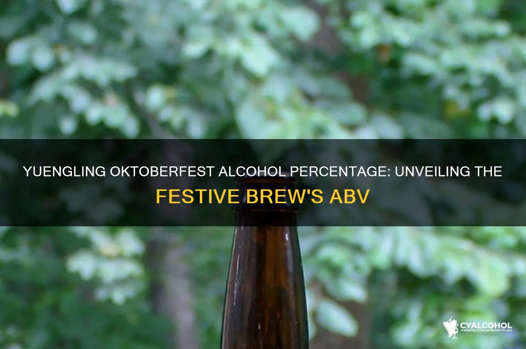 what percent alcohol is yuengling oktoberfest