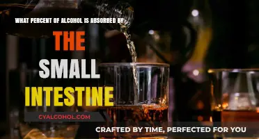 Alcohol Absorption: Small Intestine's Role