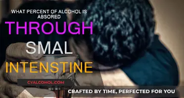 Alcohol Absorption: Small Intestine's Role Explained