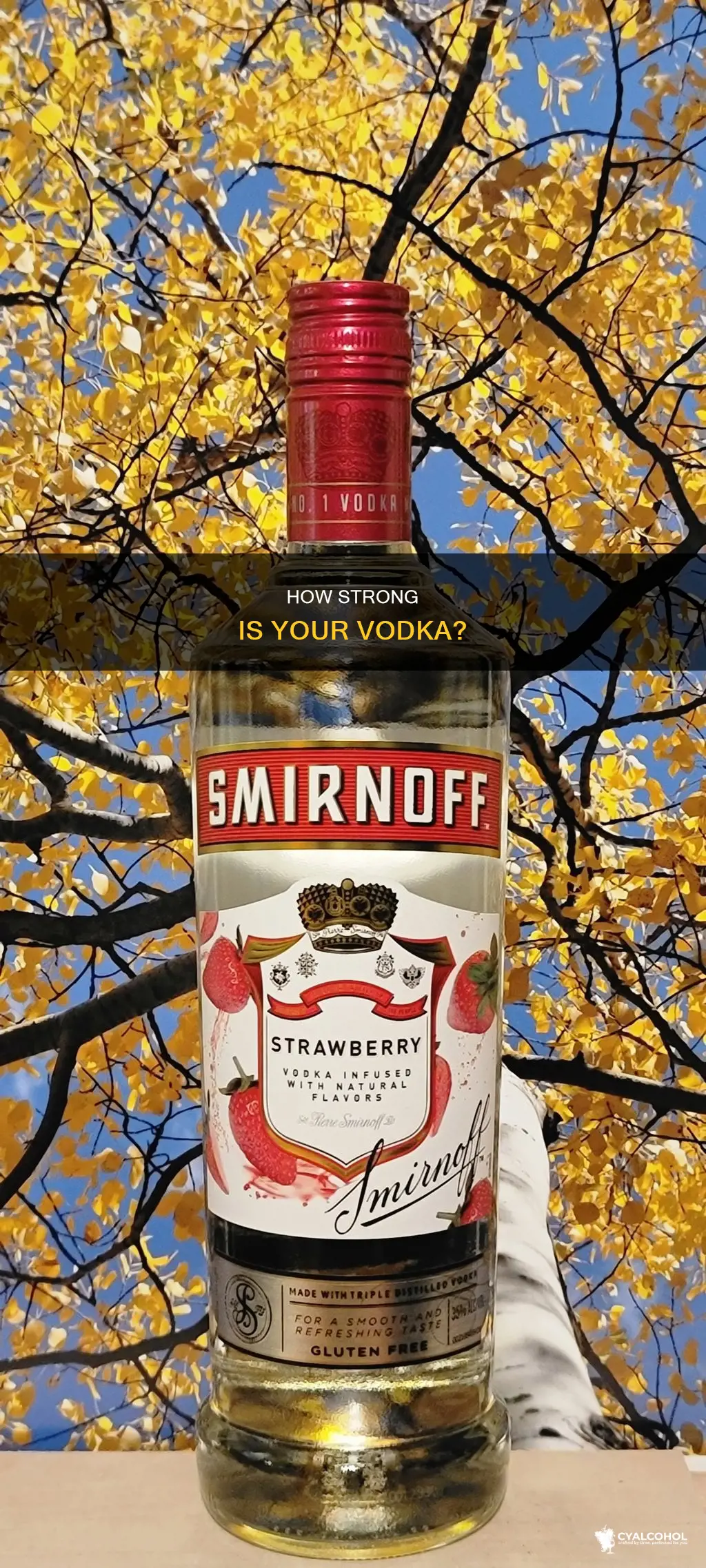 what percent of alcohol is an 80-proof vodka