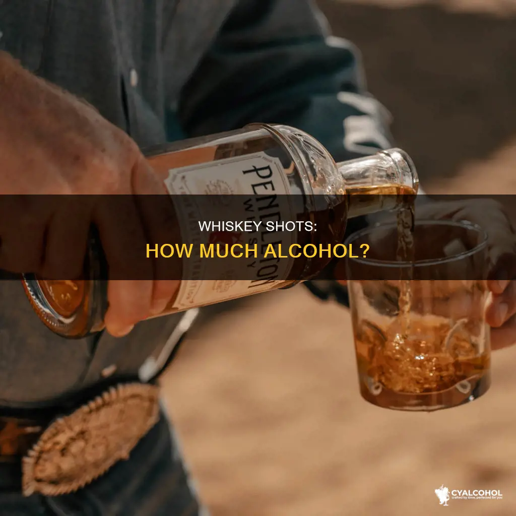 what percent of alcohol is in a shot of whiskey