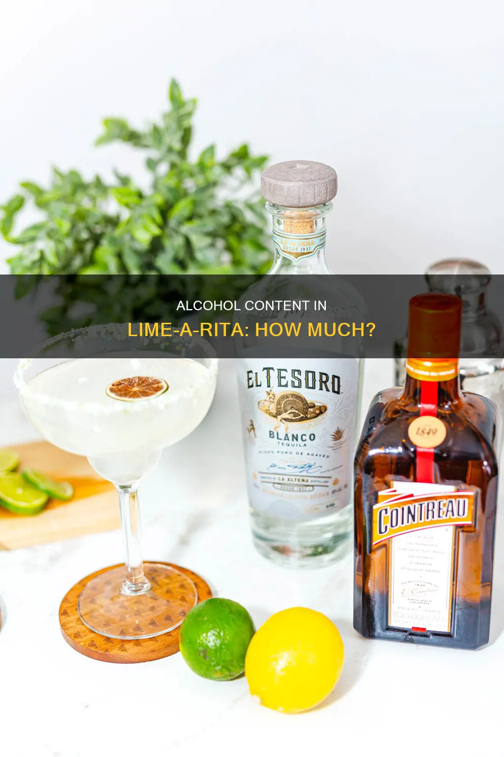 what percent of alcohol is in lime a rita