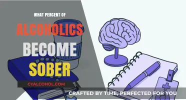 Understanding Sobriety Rates: How Many Alcoholics Achieve Long-Term Recovery?