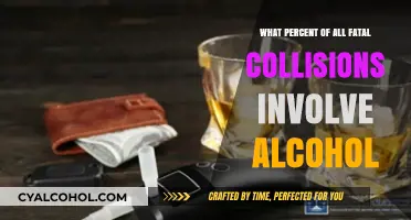 Alcohol's Deadly Role in Fatal Collisions: Shocking Percentage Revealed
