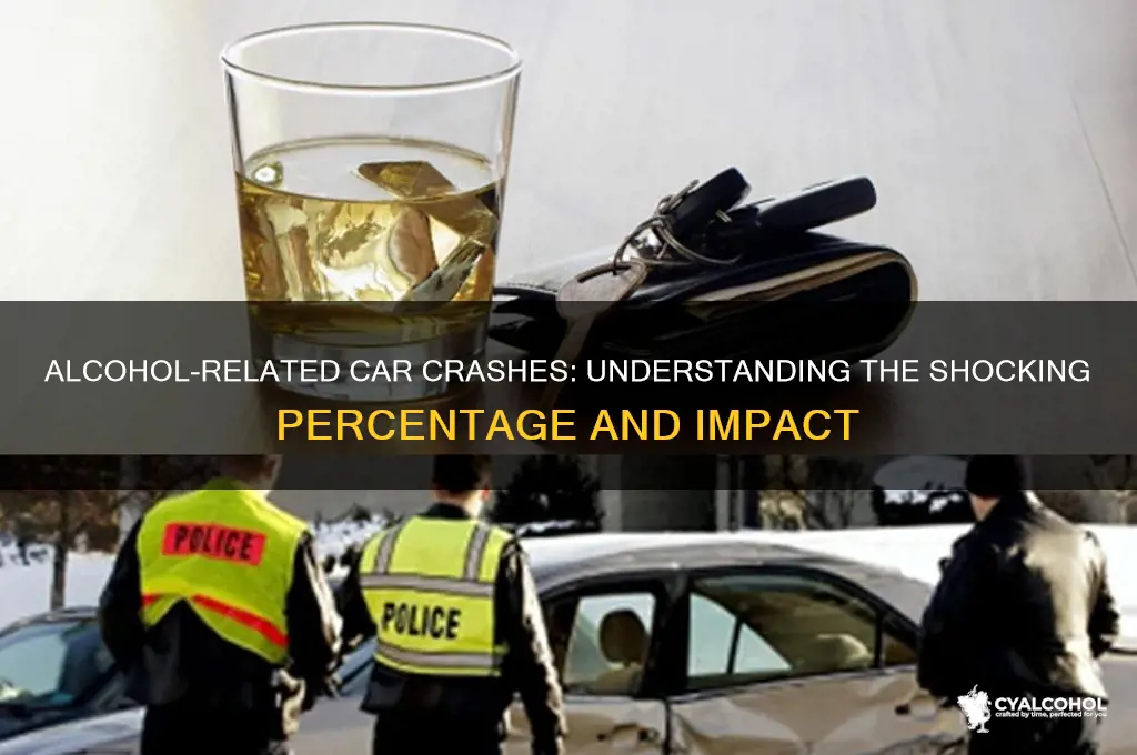 Surprising Alcohol Related Crashes Cost The Public Pictures