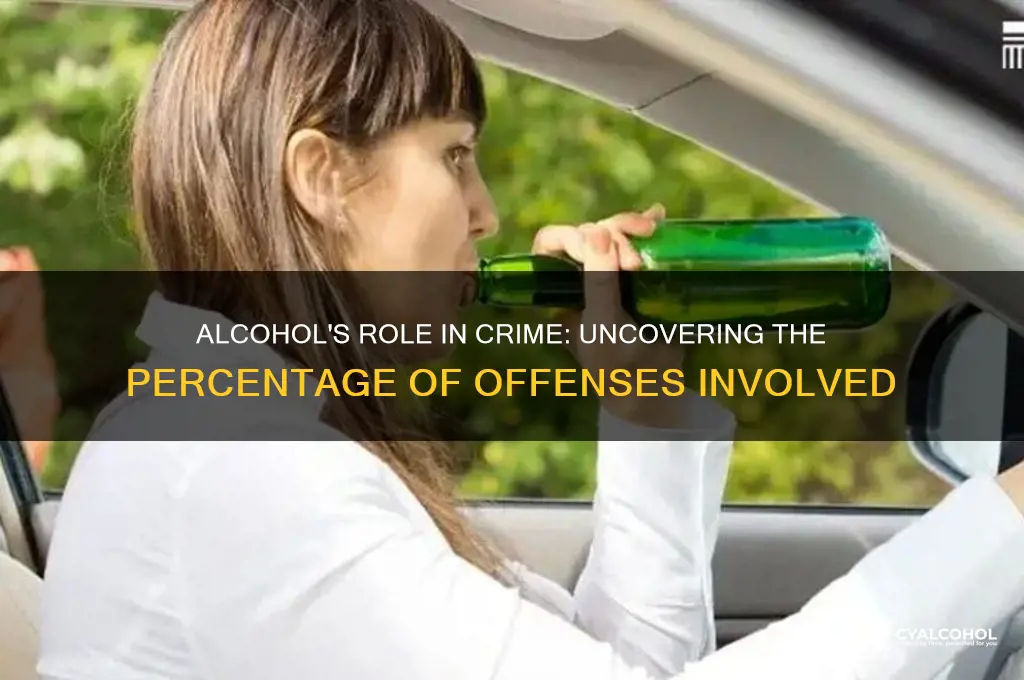 what percent of crimes involve alcohol