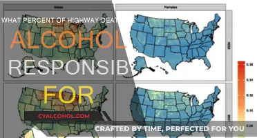 Alcohol's Deadly Impact on Highways