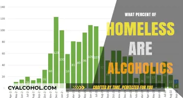 Understanding Alcoholism's Role in Homelessness: Prevalence and Impact Explored