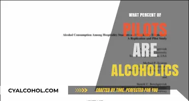 Unveiling the Truth: Alcoholism Rates Among Pilots Explored