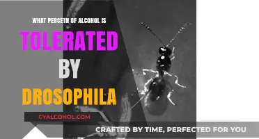 Drosophila's Alcohol Tolerance: Uncovering the Surprising Percentage Limit