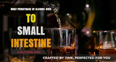 How Much Alcohol Absorption Occurs in the Small Intestine?