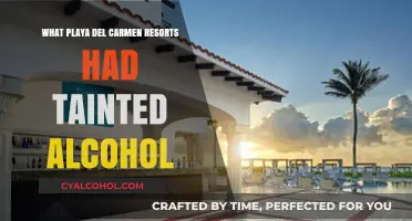 Tainted Alcohol Scandal: Which Playa del Carmen Resorts Were Involved?