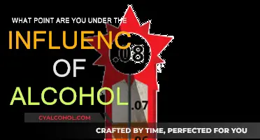 Alcohol's Influence: When Does It Take Control?