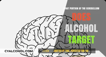 Alcohol's Impact: Which Cerebellum Regions Does It Primarily Target?