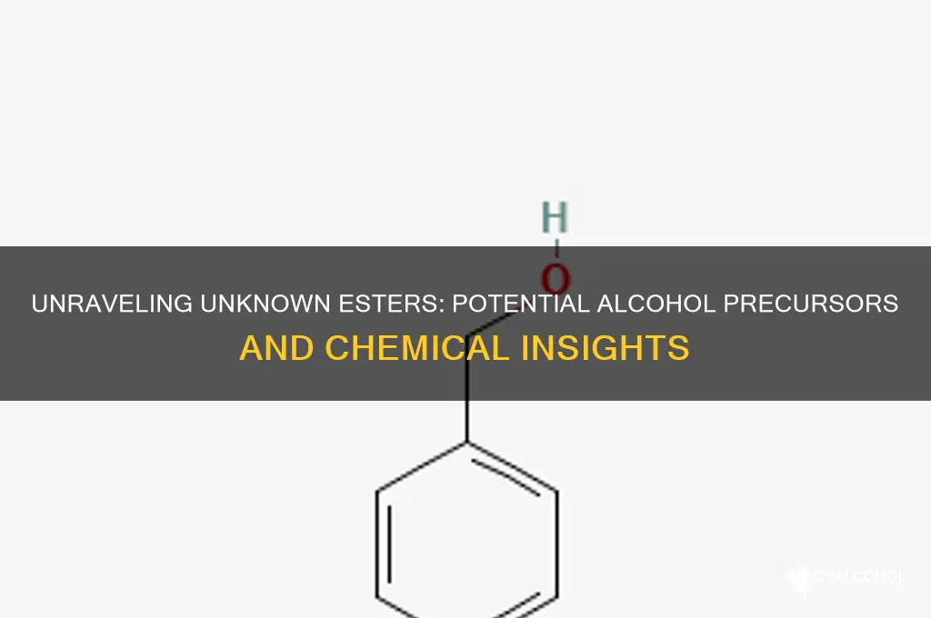 what possible alcohols could these unknon esters be
