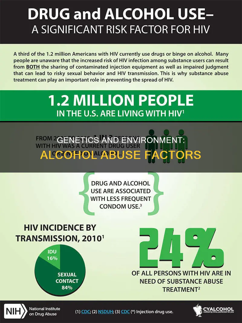 what pre existing factors if any contribute to alcohol abuse