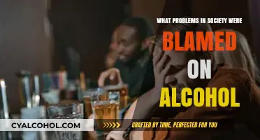 Alcohol's Dark Legacy: Society's Woes and the Blame Game