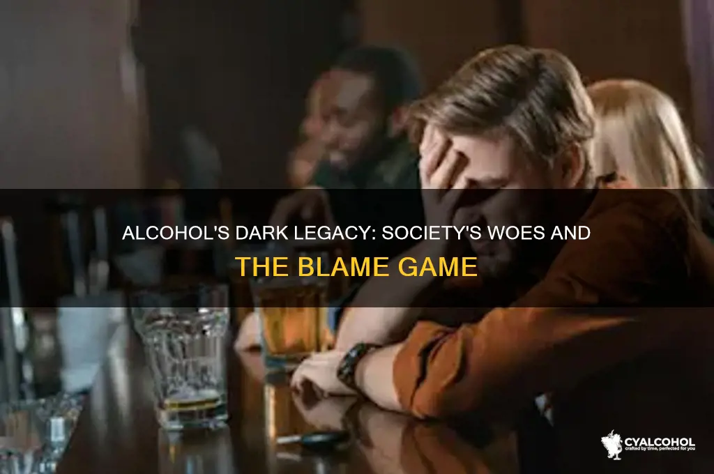 what problems in society were blamed on alcohol