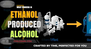 Ethanol Production Process: How Alcohol is Made from Fermentation