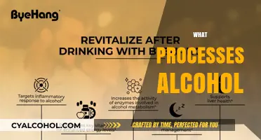 How Your Body Processes Alcohol: Liver, Enzymes, and Metabolism Explained