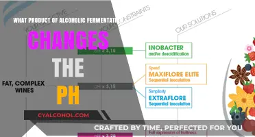 How Alcoholic Fermentation's Byproduct Alters pH Levels in Beverages