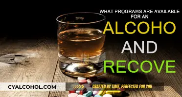 Alcoholism Recovery: Available Treatment Programs