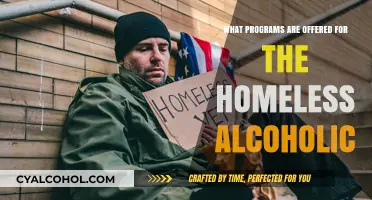 Supportive Programs for Homeless Alcoholics: Pathways to Recovery and Stability