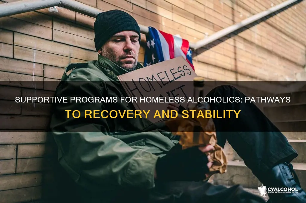 what programs are offered for the homeless alcoholic