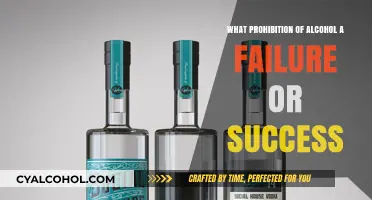 Prohibition's Legacy: Analyzing the Successes and Failures of Banning Alcohol