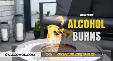 Why Alcohol Burns: Understanding the Science Behind Its Combustibility