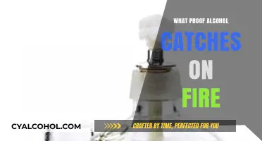 Flammable Spirits: Understanding the Science Behind Alcohol's Combustibility