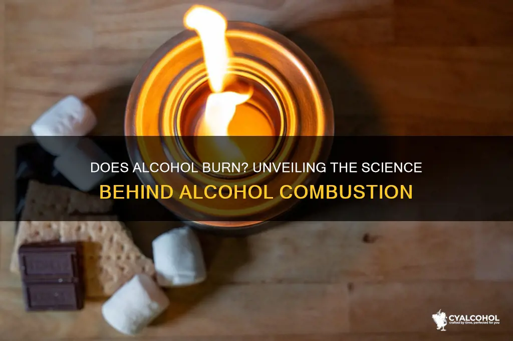 what proof does alcohol burn