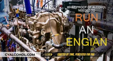 Alcohol-Fuelled Engines: Proof Requirements and Performance