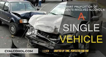 Vehicle Accidents: Alcohol's Solo Role