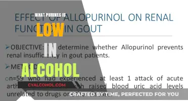 Low-Purine Alcohol Options: Smart Choices for Gout-Friendly Drinking