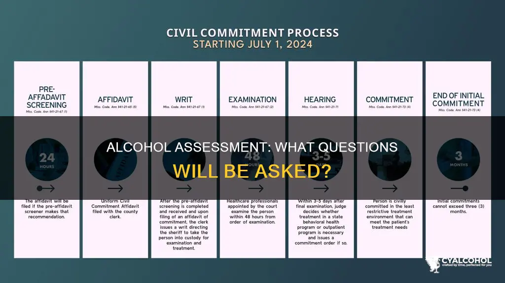what questions are asked in a court-ordered alcohol assessment