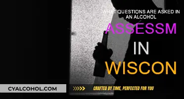 Wisconsin Alcohol Assessment: What Questions Are Asked?