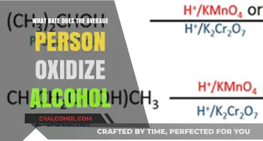 Understanding Alcohol Metabolism: Average Oxidation Rates in Humans Explained