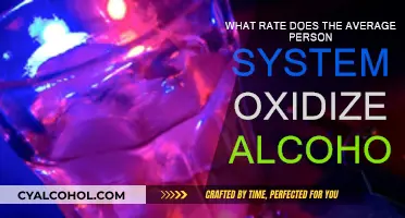 How Fast Does Your Body Process Alcohol?