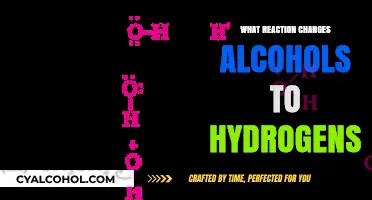 Transforming Alcohols to Alkenes: The Dehydration Reaction Explained