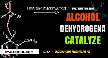 Alcohol Dehydrogenase: The Key Enzyme in Ethanol Metabolism Explained