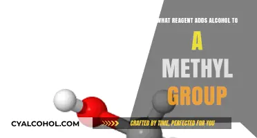 Adding Alcohol to Methyl Groups: Key Reagents and Reactions Explained