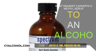 Transforming Methyl Groups: Reagent Conversion to Alcohol