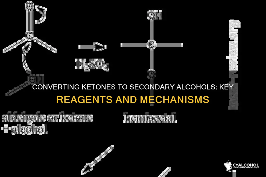 what reagent converts ketone into a secondary alcohol