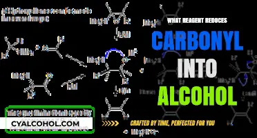 Reducing Carbonyl Groups to Alcohols: Key Reagents and Mechanisms