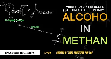 How Ketones Transform: Reagent-Induced Secondary Alcohol Formation