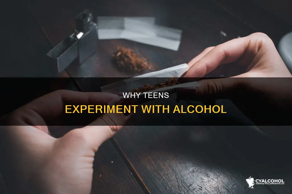 what reasons might teens give for expeiermenting with alcohol