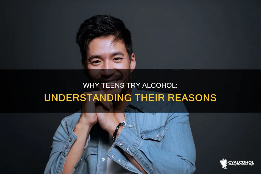 what reasons might teens give for experimenting with alcohol